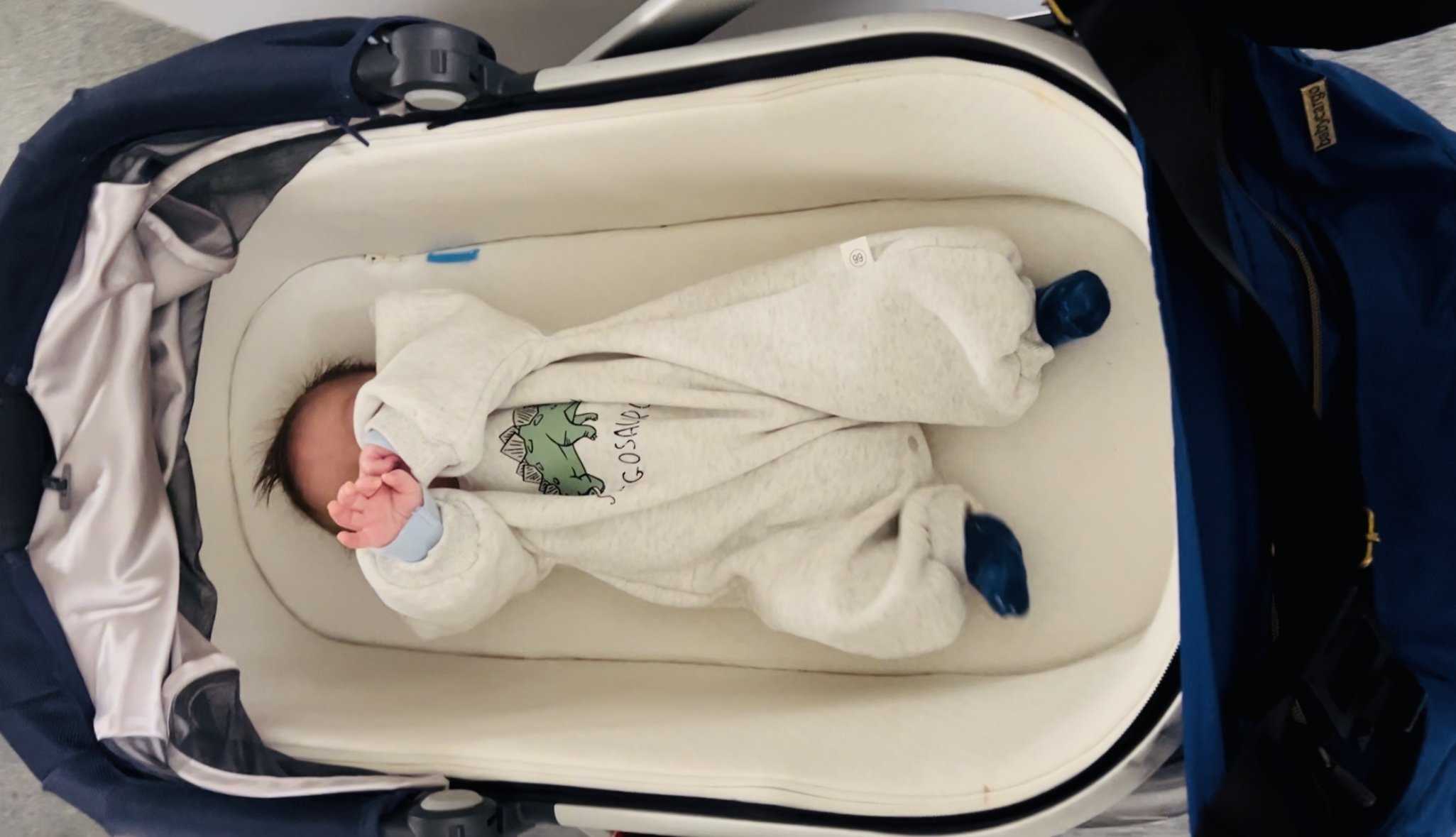 Bassinet vs. Car Seat Strollers: A Pediatric PT's Perspective on Infant  Development - Motor Skills Matter | Pediatric Physical Therapy NYC &  Hamptons